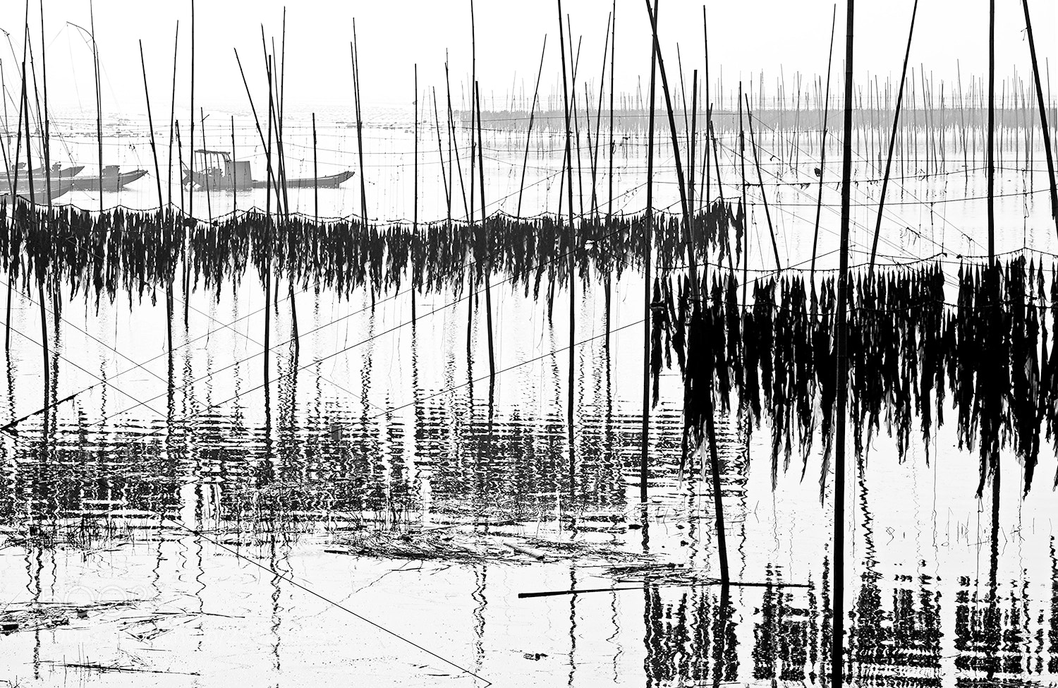 Nikon D300 sample photo. 波光幻想曲 photography