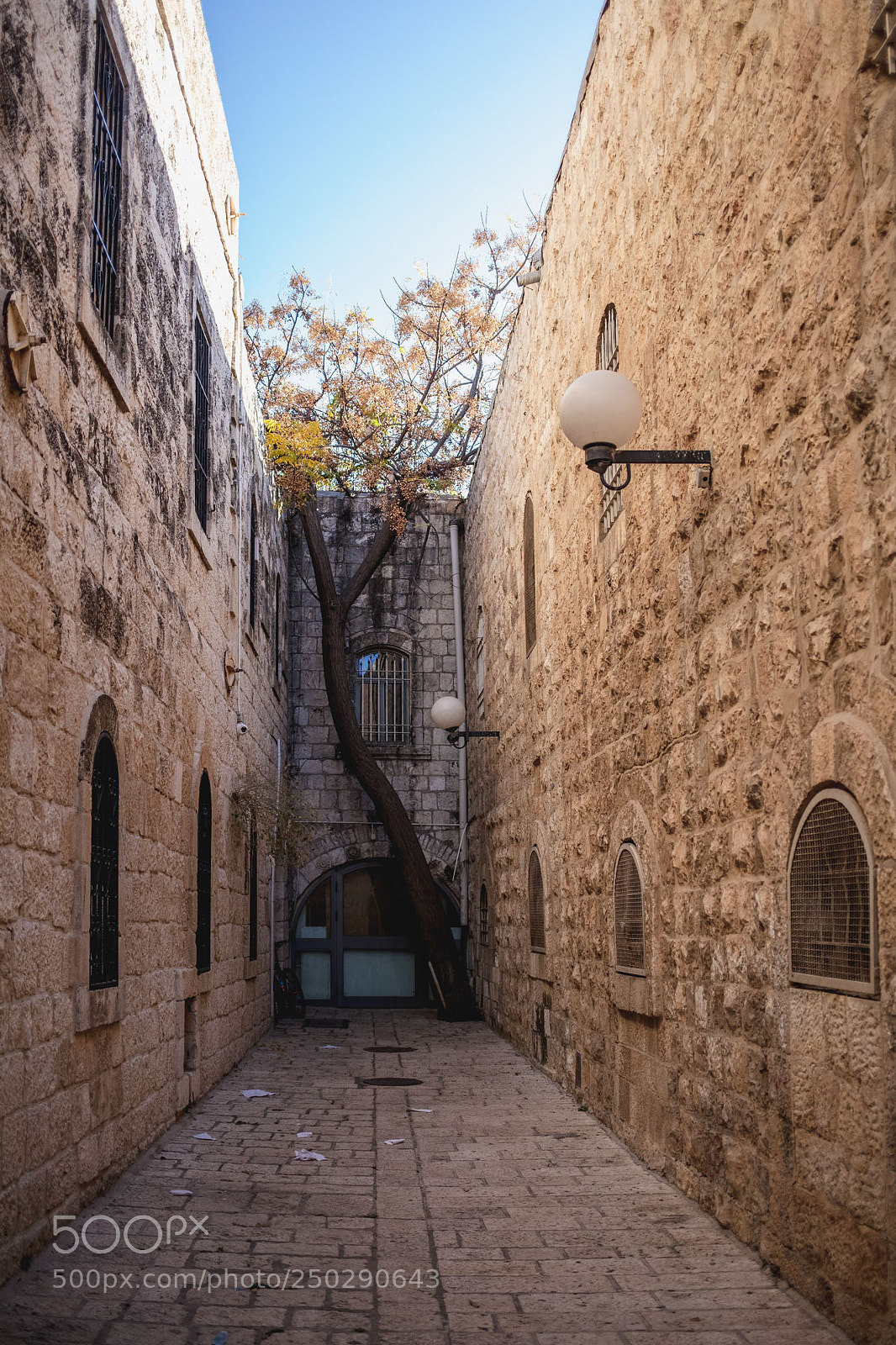 Canon EOS 5D Mark II sample photo. תל אביב   |   tel aviv   |   تل أبيب photography