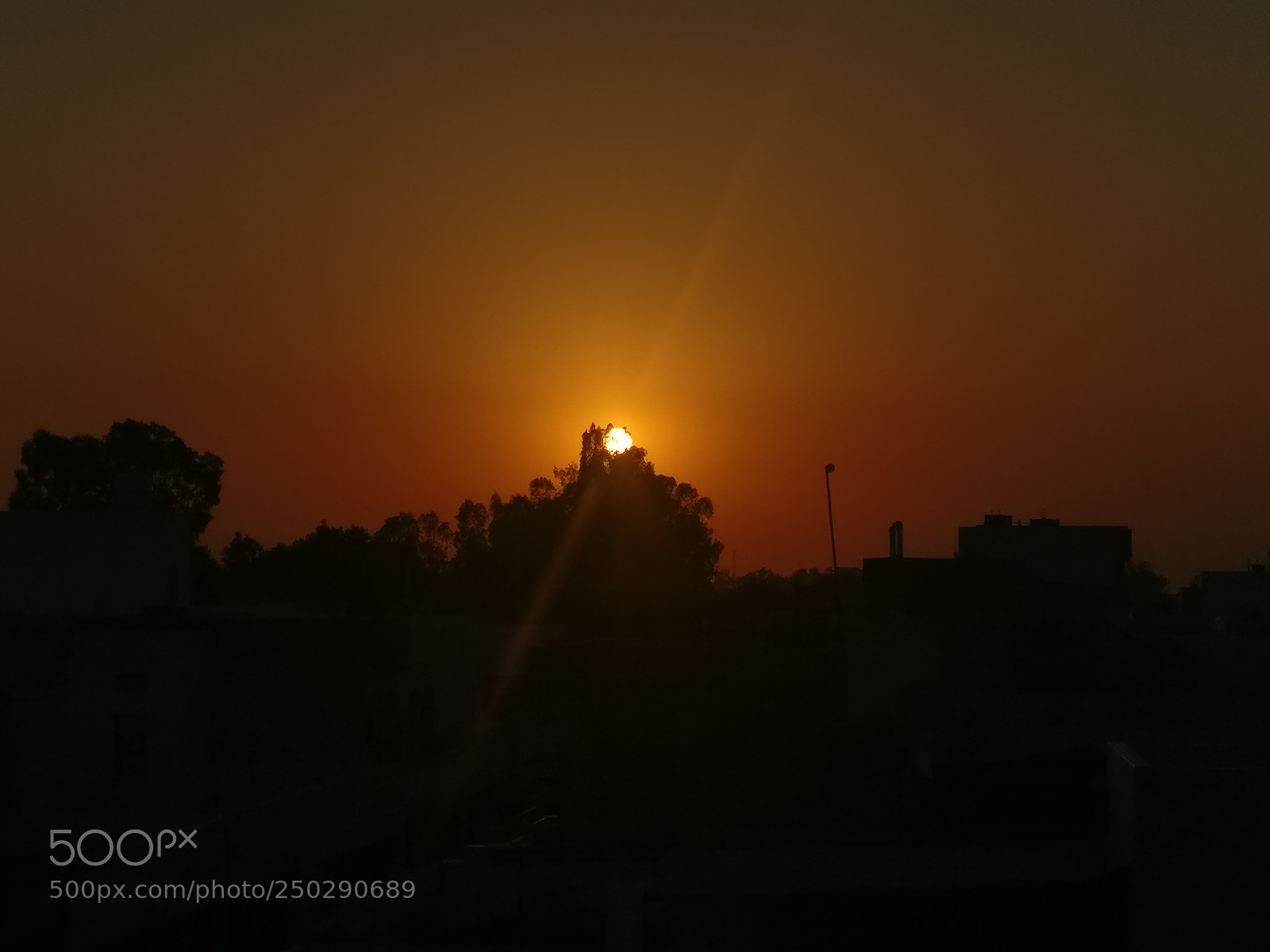 OnePlus A3003 sample photo. Another sunset photography