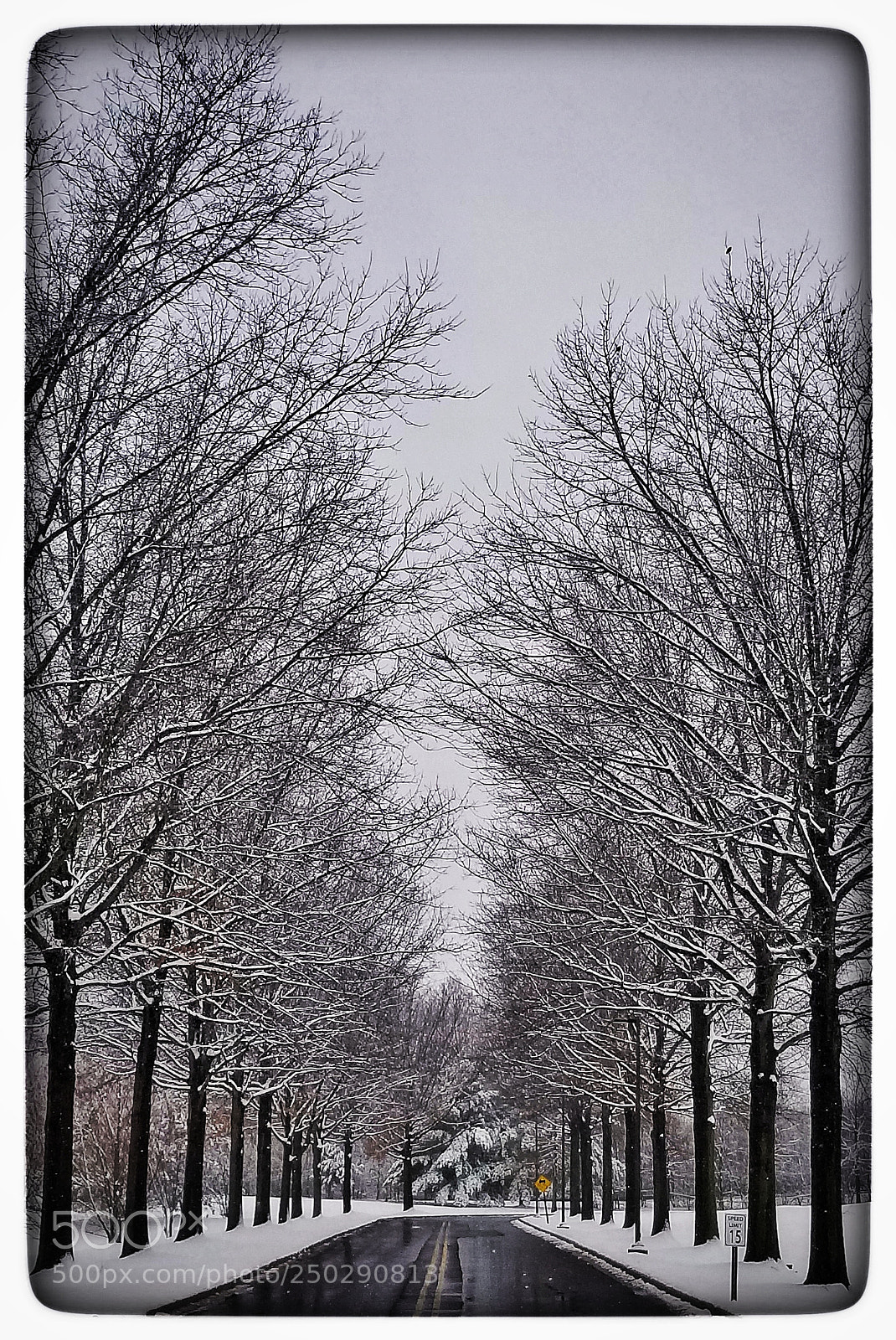 Samsung Galaxy S8 sample photo. The unfinished winter photography