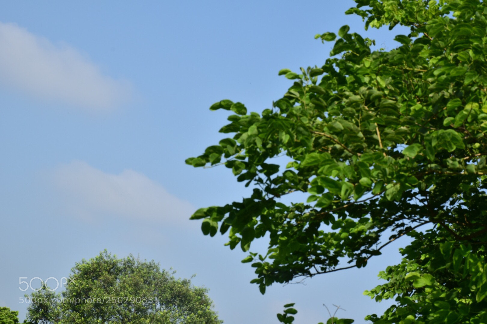 Nikon D5300 sample photo. Untitled photography