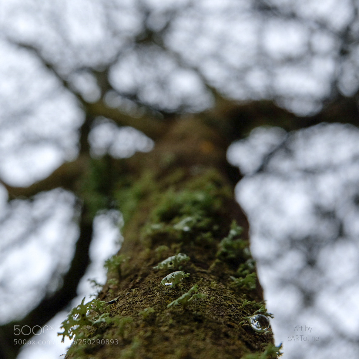 Fujifilm X-T20 sample photo. Untitled photography