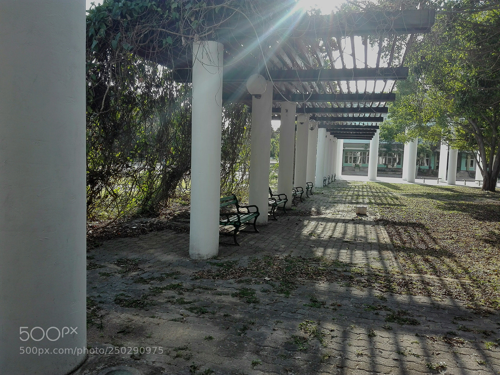 HUAWEI P8 Lite sample photo. Plaza mella uci photography