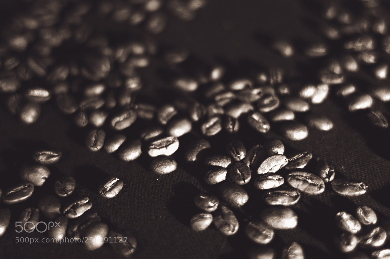 Canon EOS 550D (EOS Rebel T2i / EOS Kiss X4) sample photo. Coffee beans photography