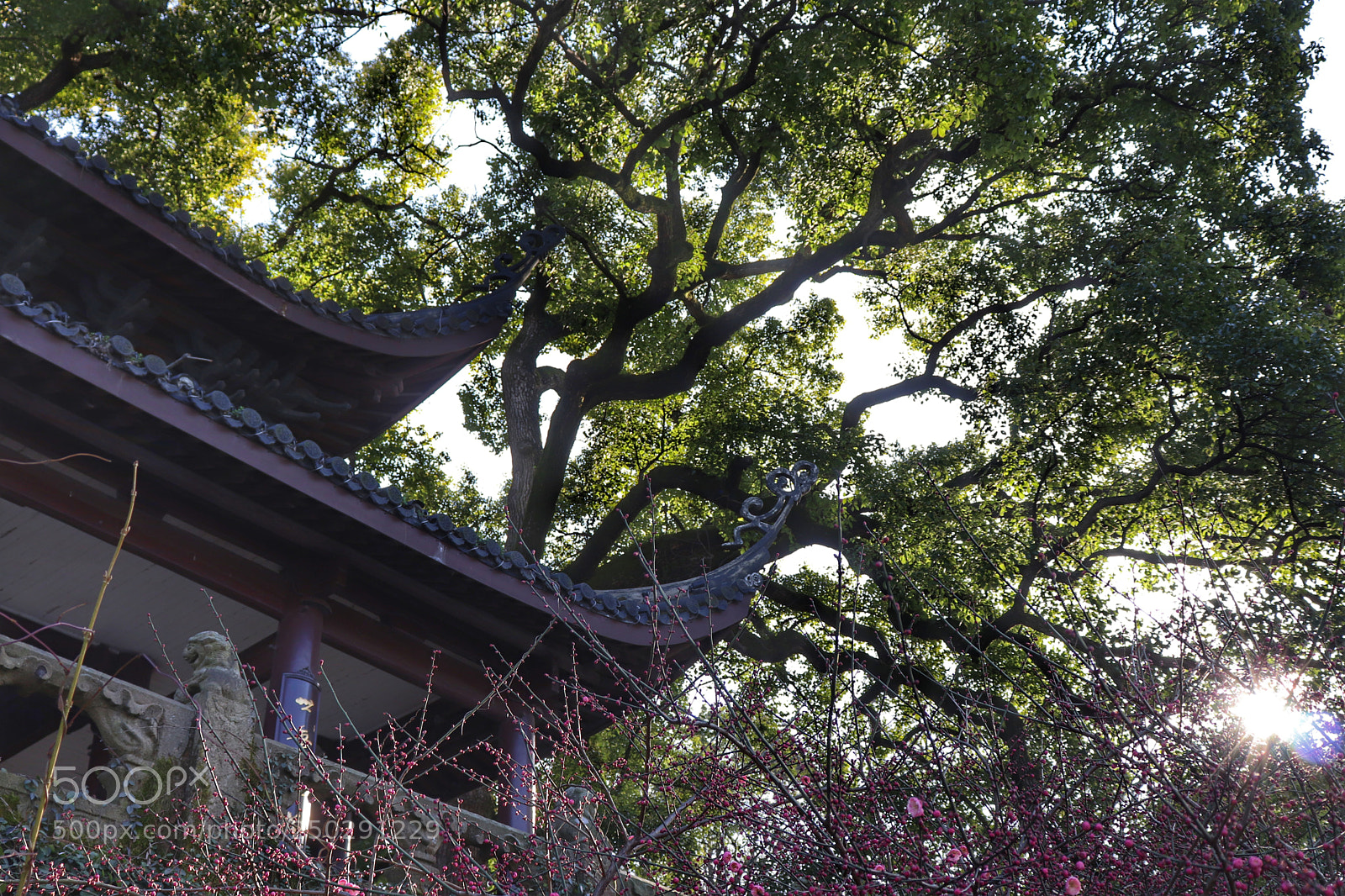 Canon EOS 800D (EOS Rebel T7i / EOS Kiss X9i) sample photo. Fang he pavilion photography