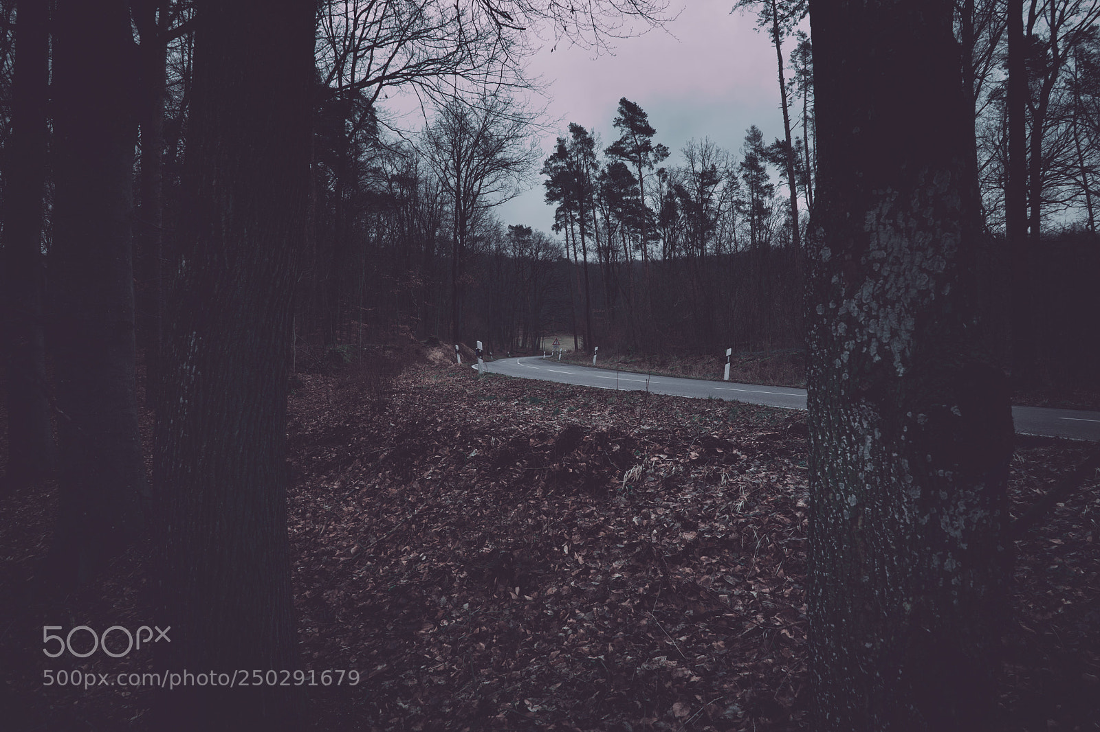Sony a7 sample photo. Low angle street view photography