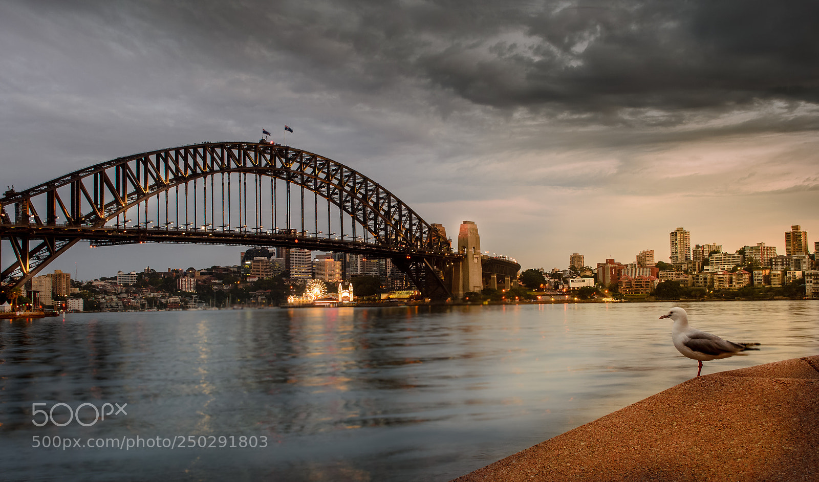 Nikon D5100 sample photo. Sydney photography