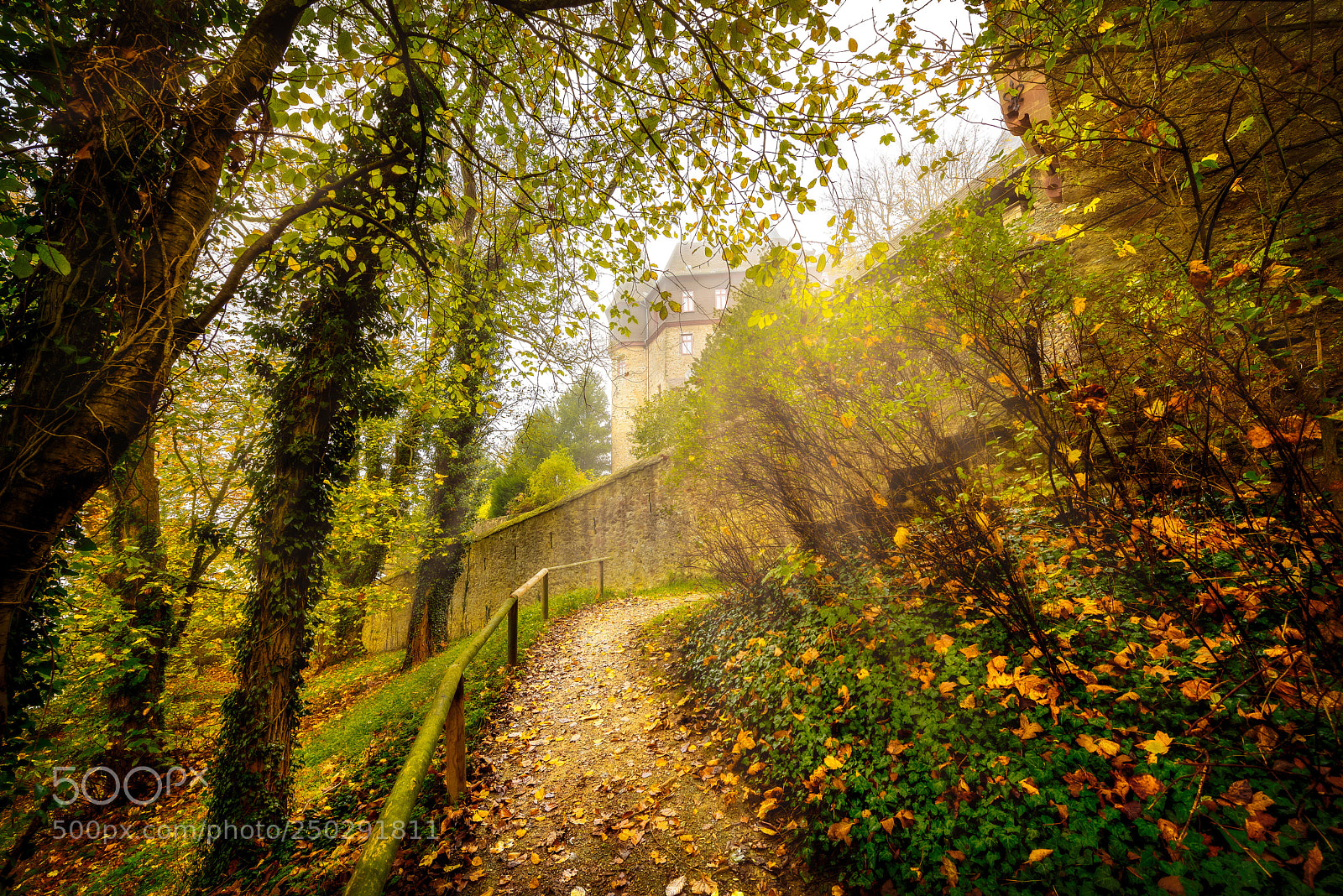 Nikon D810 sample photo. Schloss braunfels photography