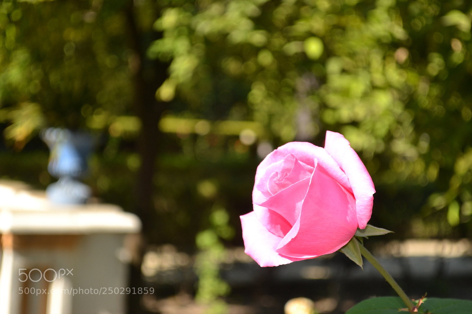 Nikon D3100 sample photo. Untitled photography