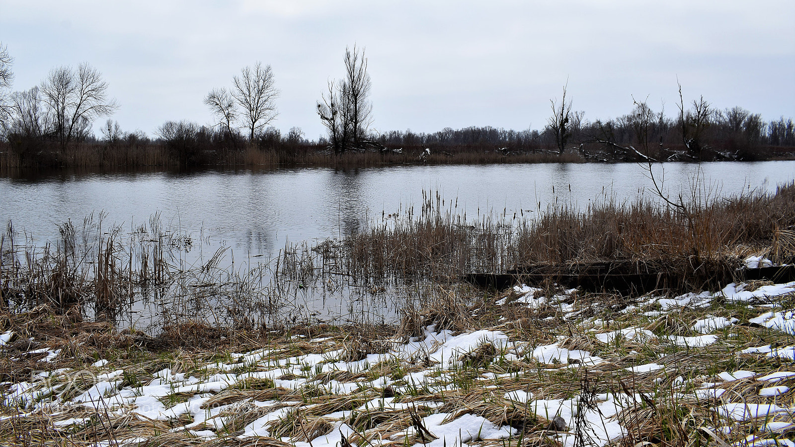 Nikon D5300 sample photo. Untitled photography
