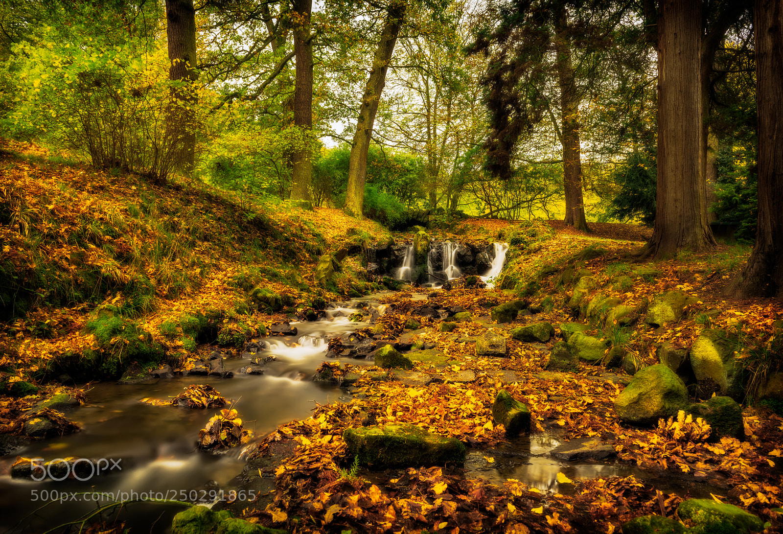 Nikon D810 sample photo. Lowenburg kassel photography