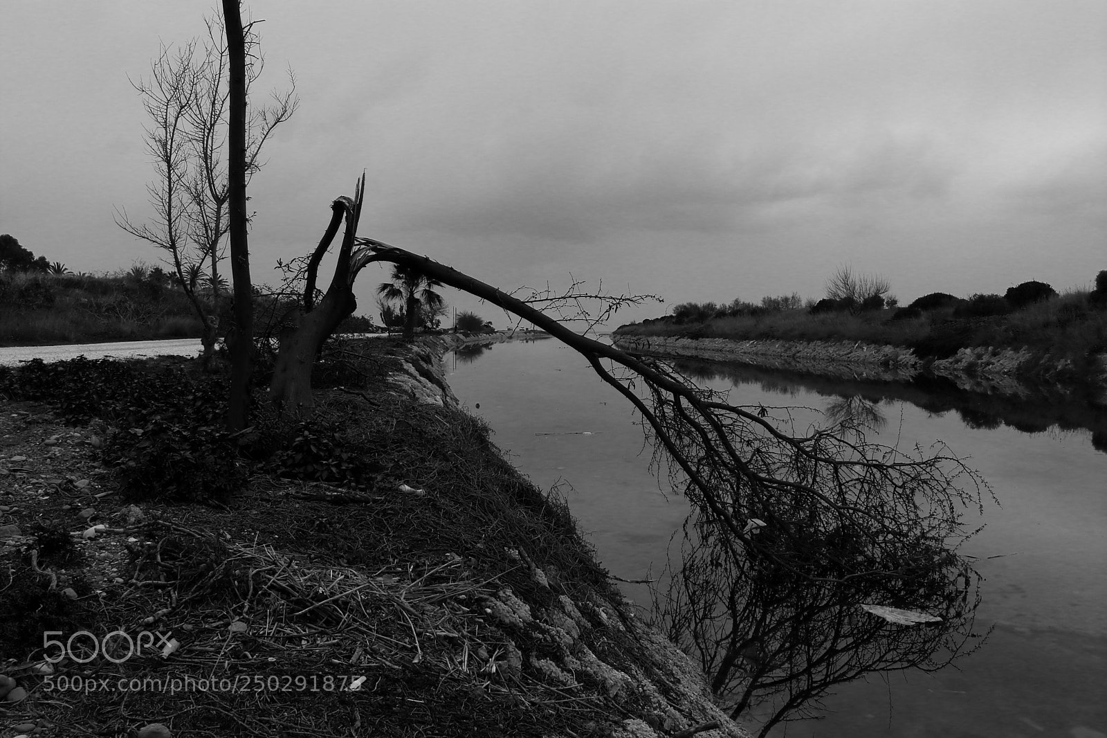 Canon EOS 200D (EOS Rebel SL2 / EOS Kiss X9) sample photo. Beautiful nightmare photography