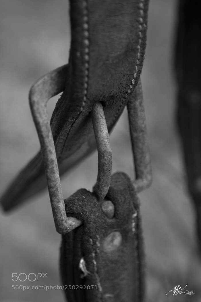 Canon EOS 40D sample photo. Buckle up photography