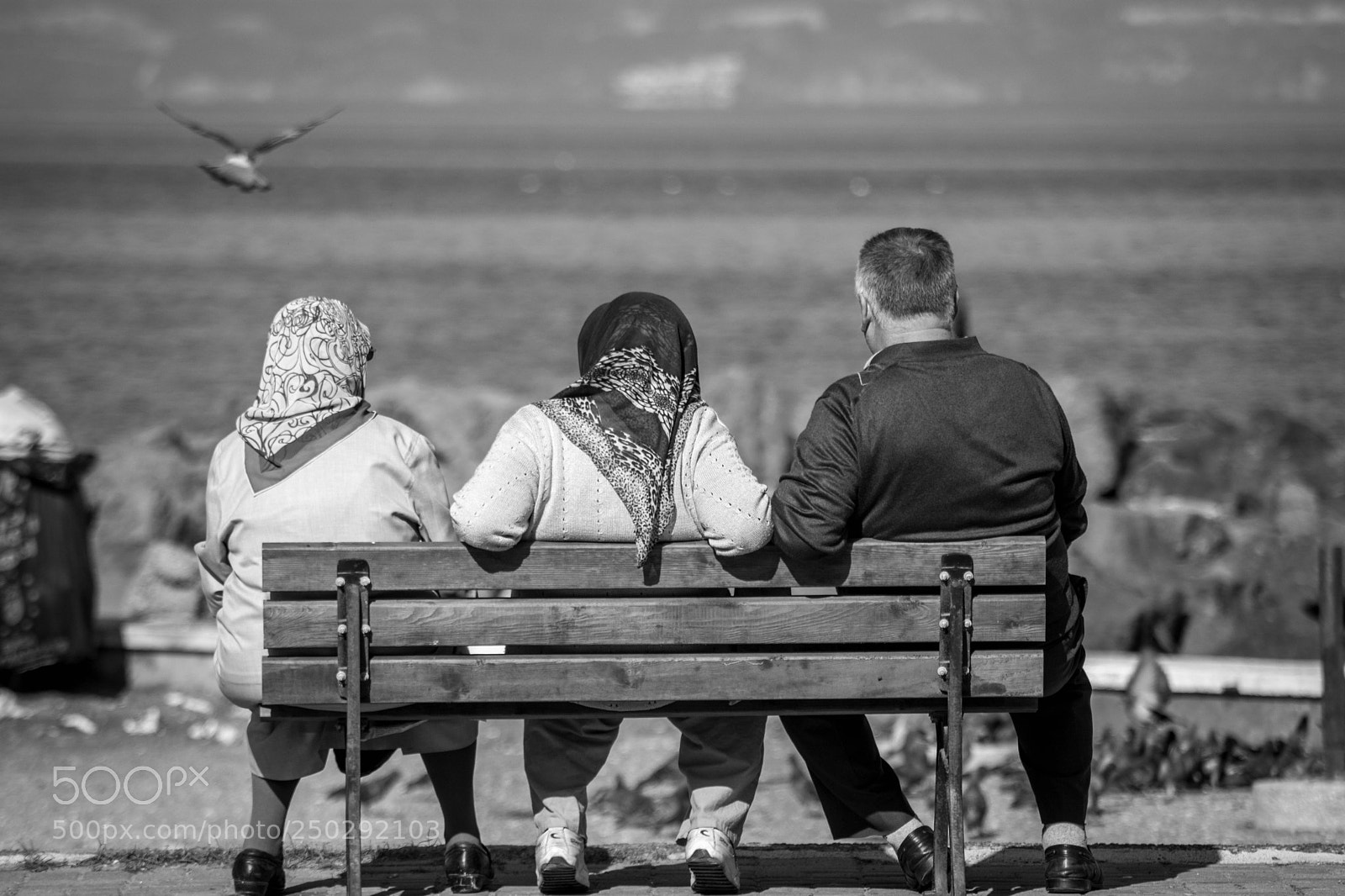Nikon D7100 sample photo. Trio on sea side. photography