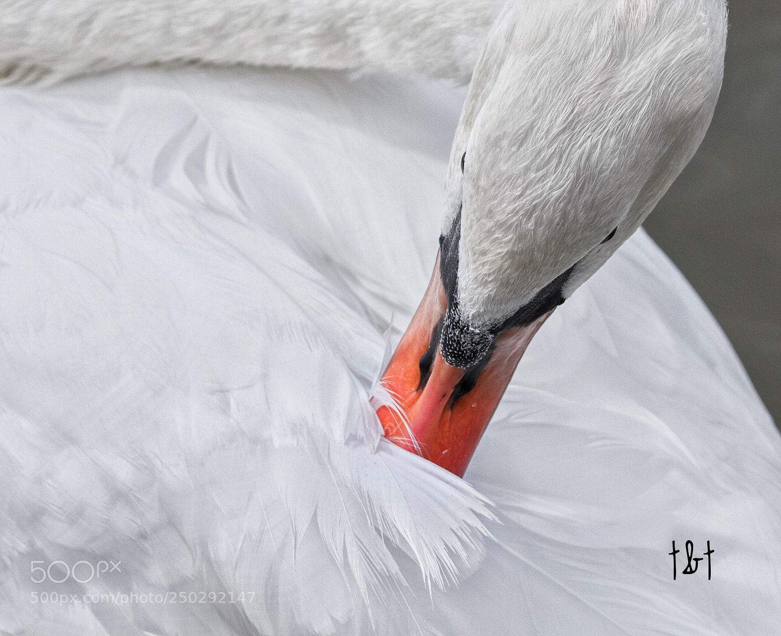 Canon EOS 7D sample photo. Untitled photography