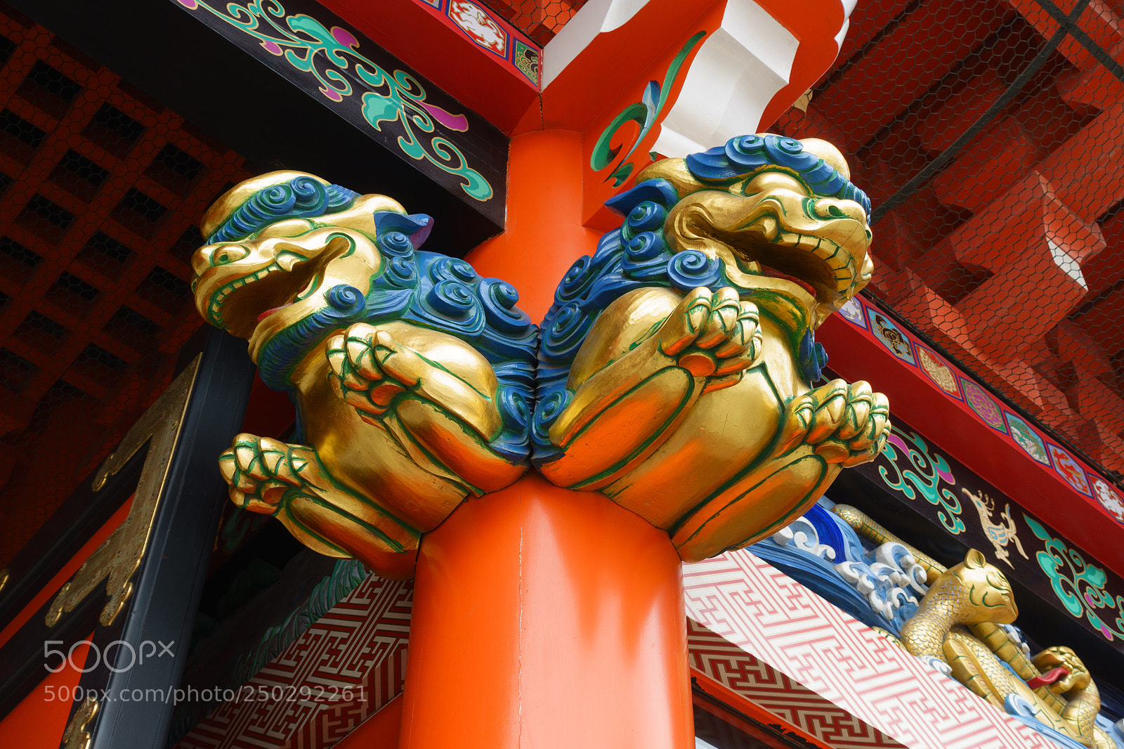 Sony Cyber-shot DSC-RX100 III sample photo. Colorful lions photography