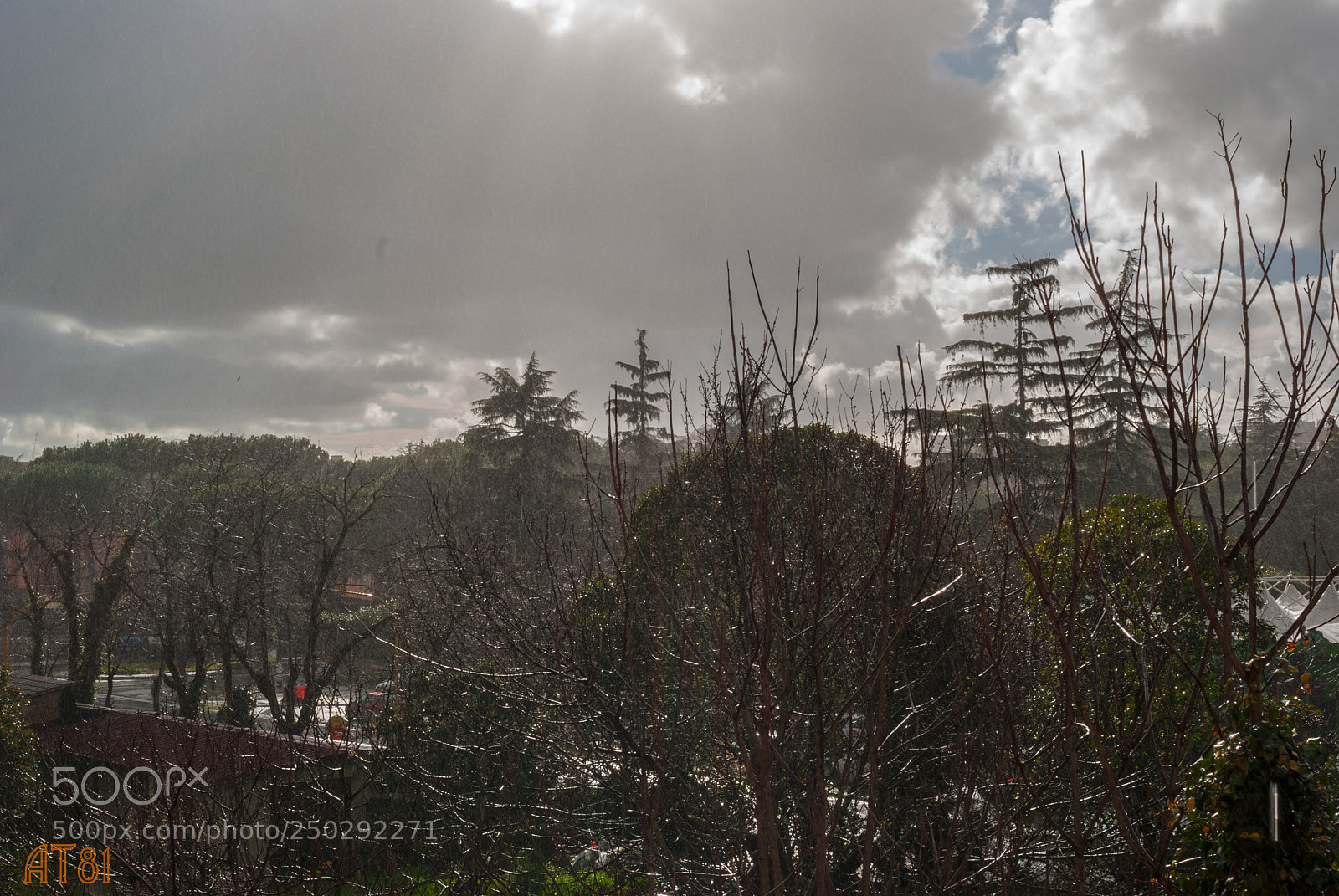 Nikon D80 sample photo. Rain and sun photography