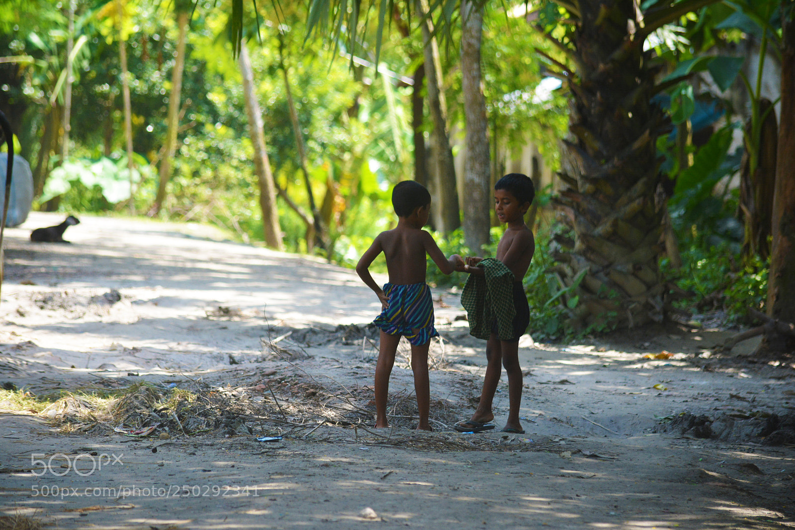 Nikon D5200 sample photo. For you a thousand photography