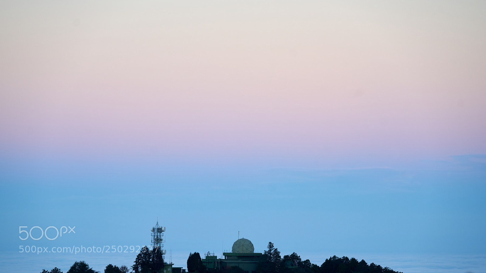 Sony a7R II sample photo. Pantone color of 2016 photography