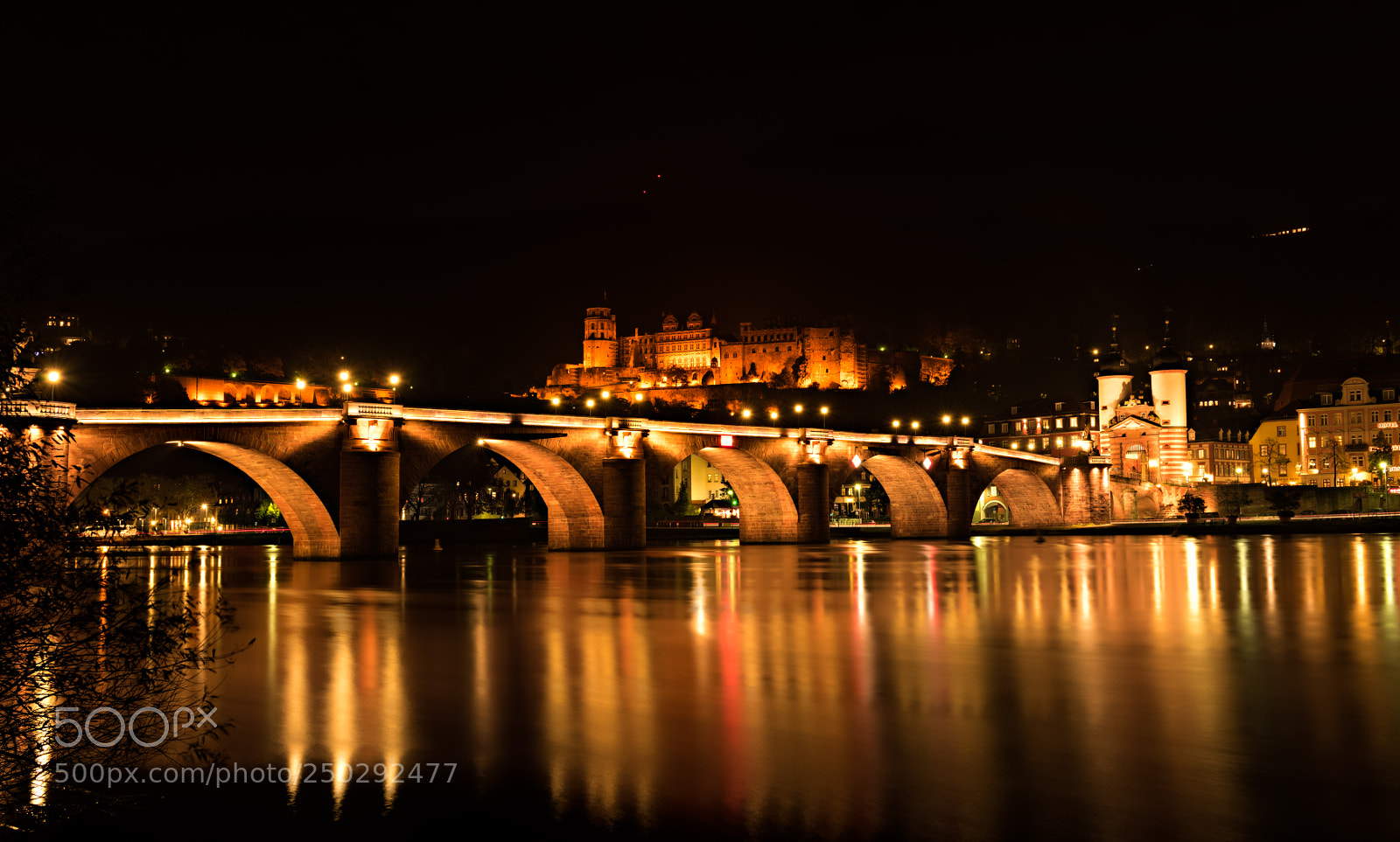 Nikon D810 sample photo. Heidelberg castle photography