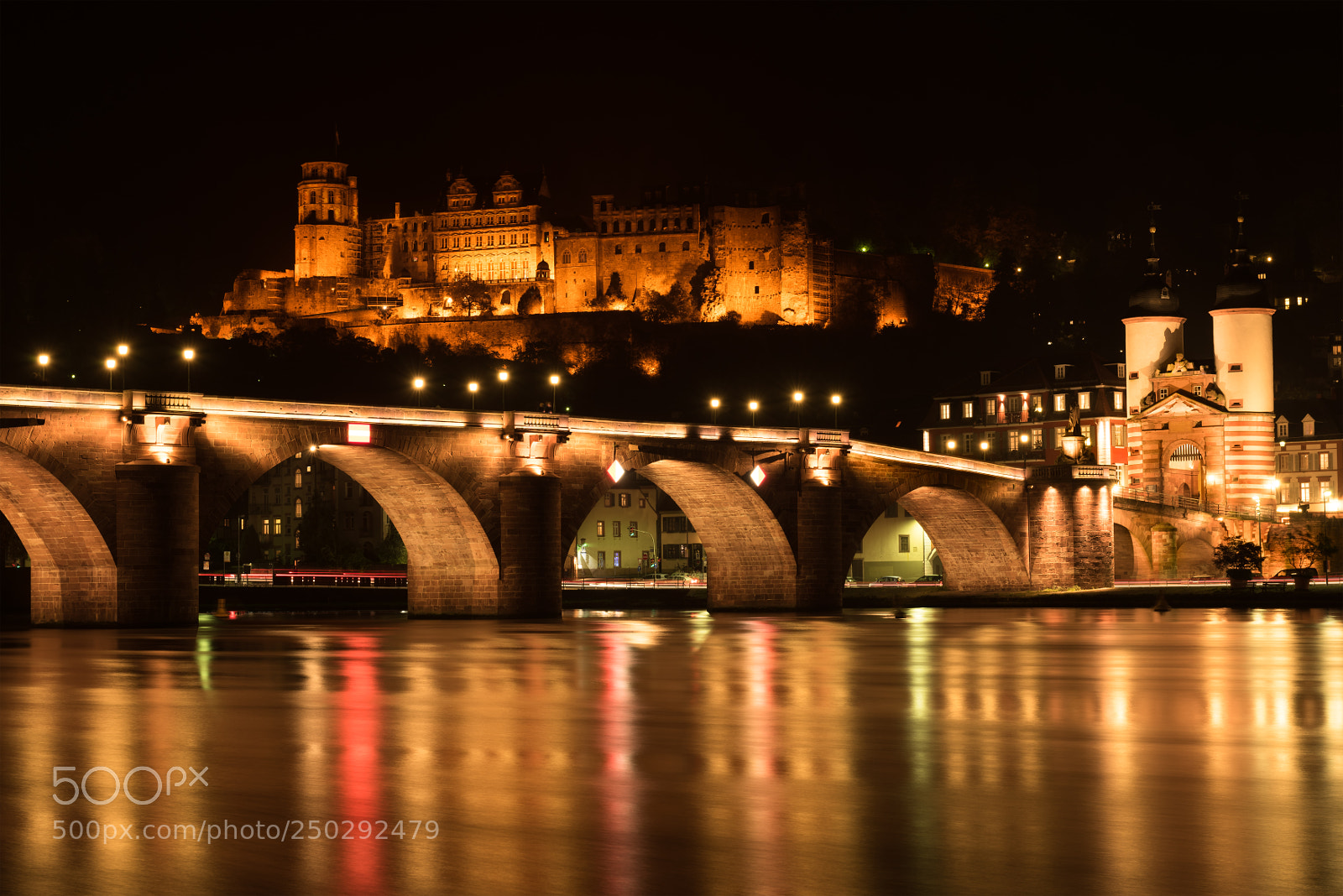 Nikon D810 sample photo. Heidelberg castle photography