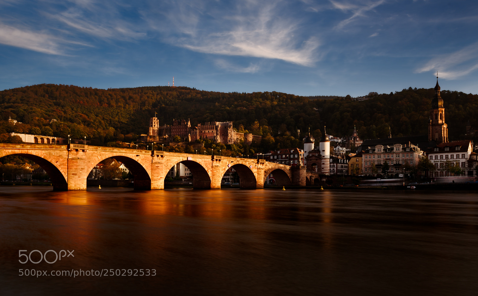 Nikon D810 sample photo. Heidelberg castle photography
