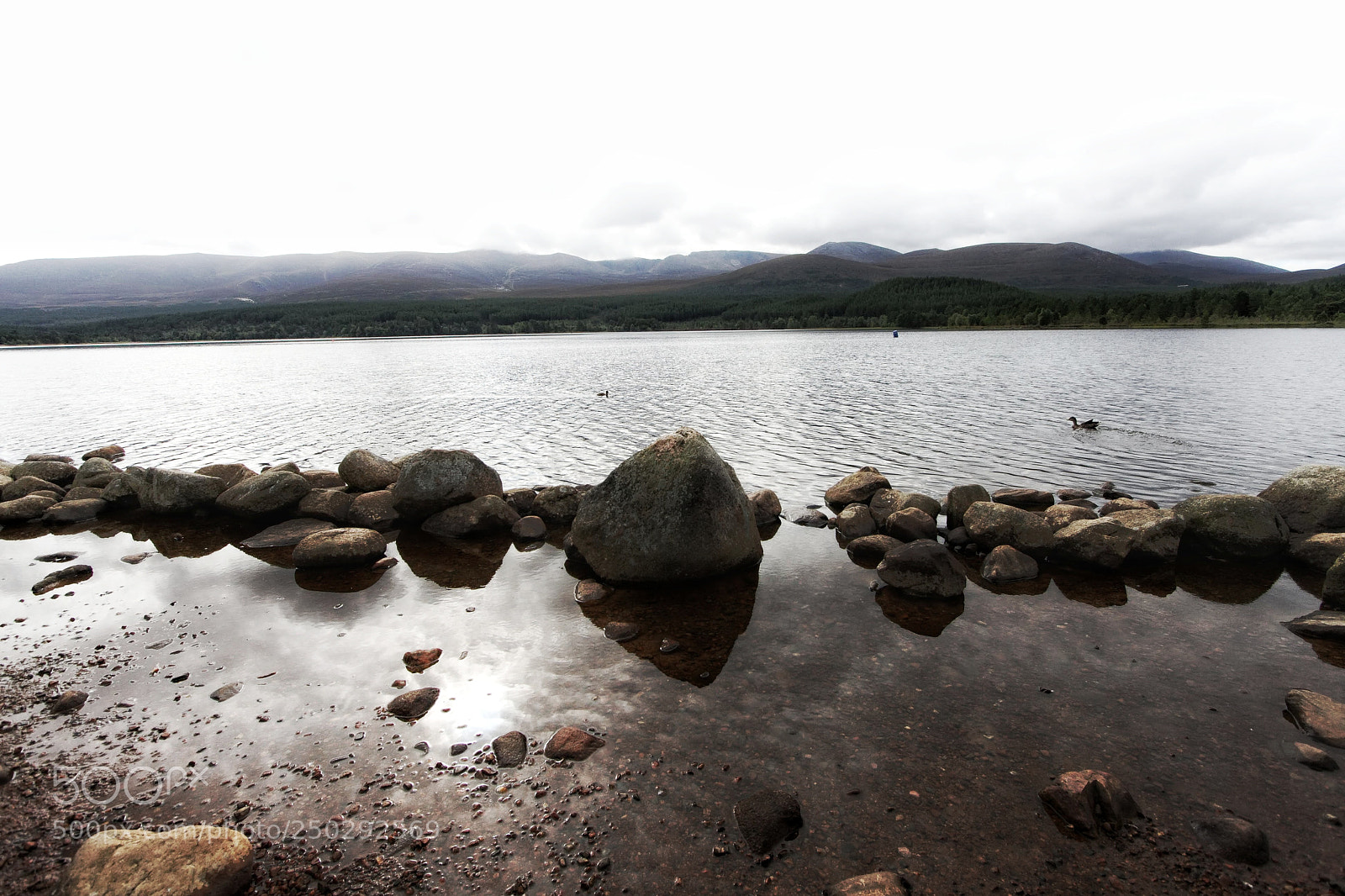 Canon EOS 40D sample photo. Loch morlich photography