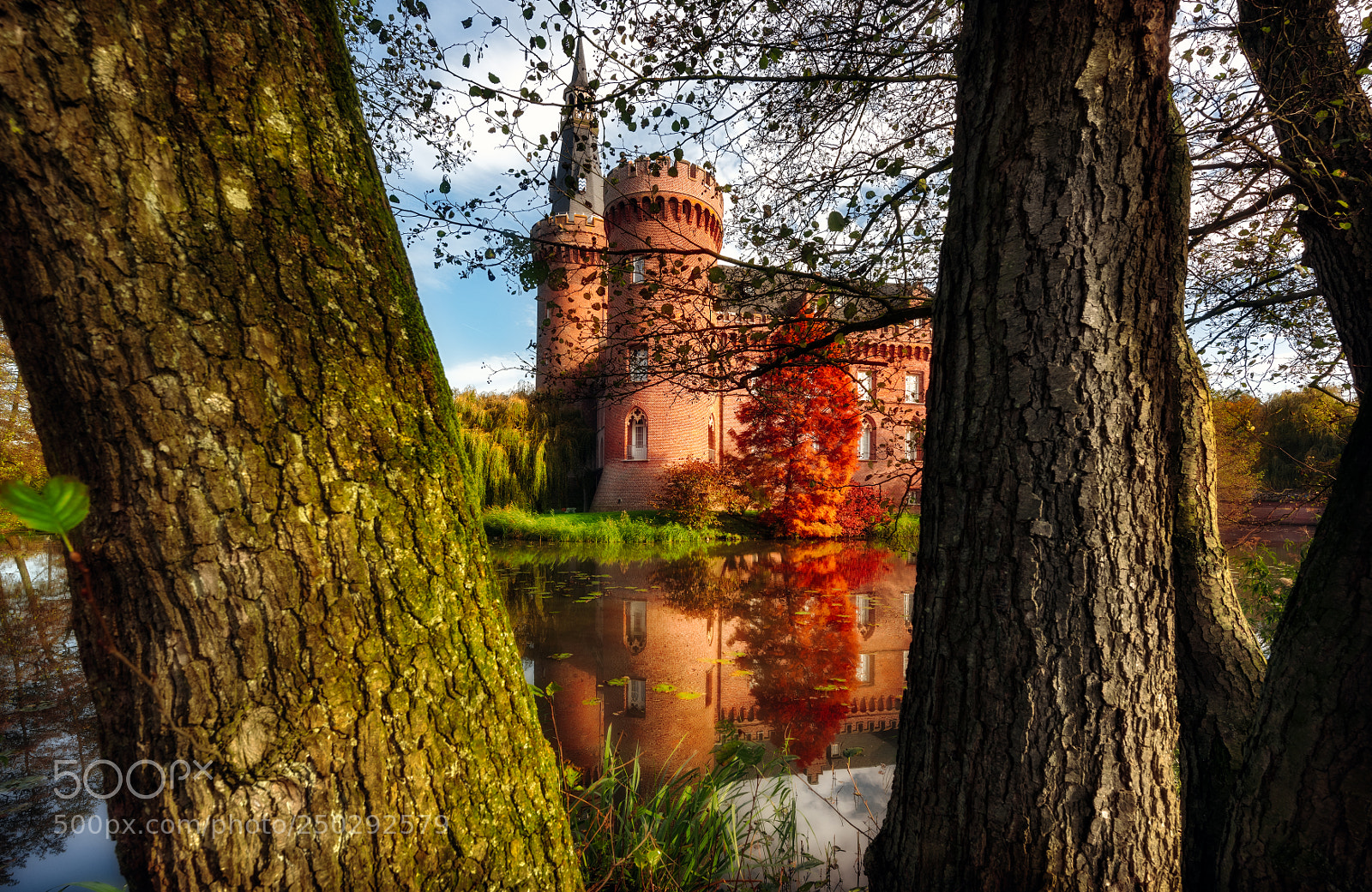 Nikon D810 sample photo. Moyland castle photography