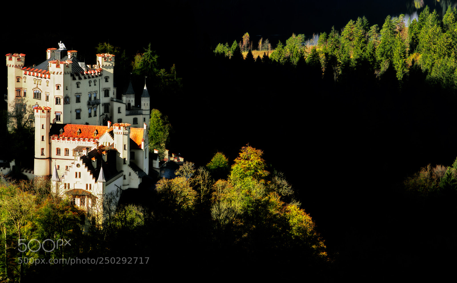 Nikon D810 sample photo. Hohenschwangau castle photography