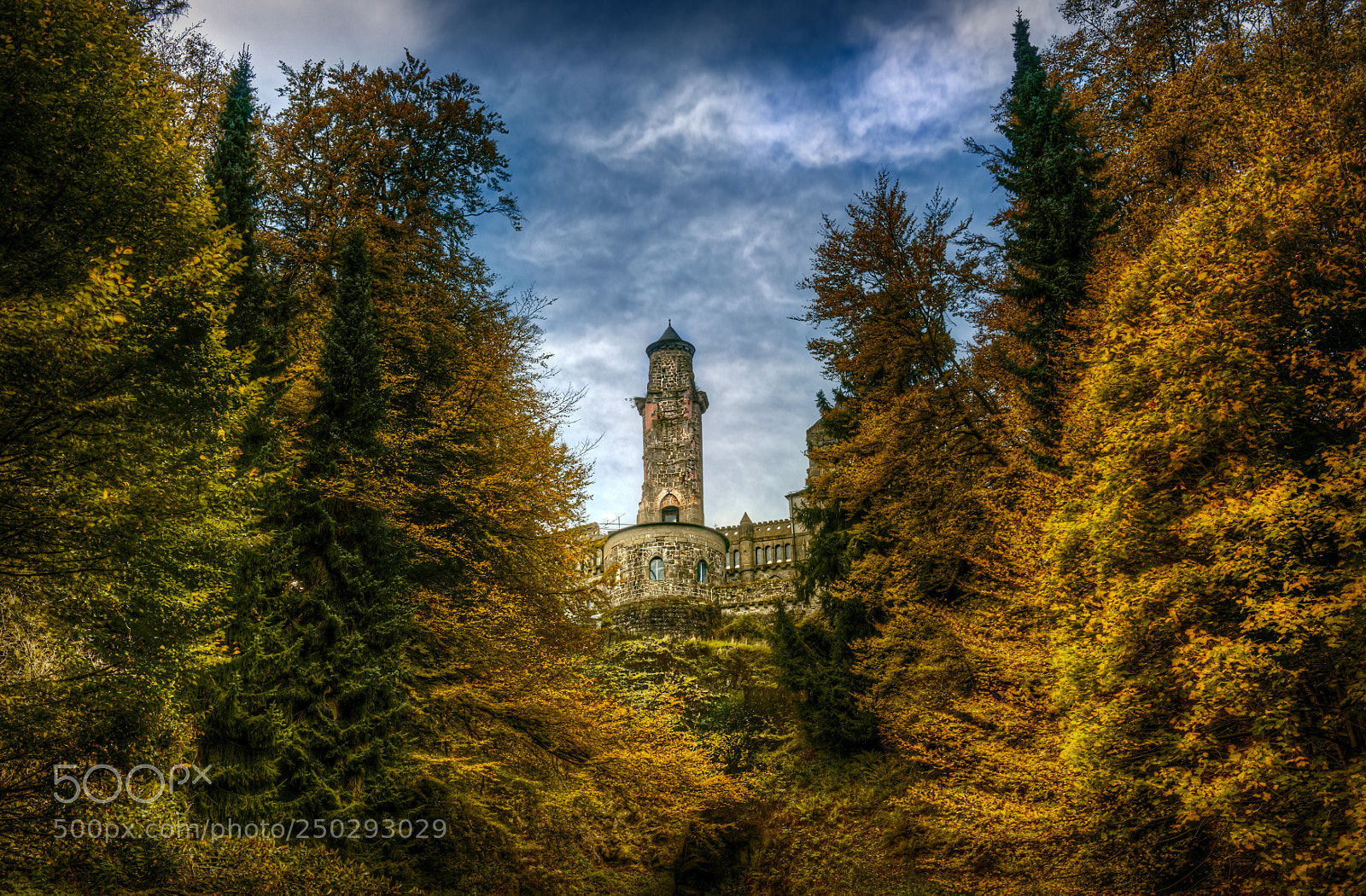 Nikon D810 sample photo. Lowenburg castle photography