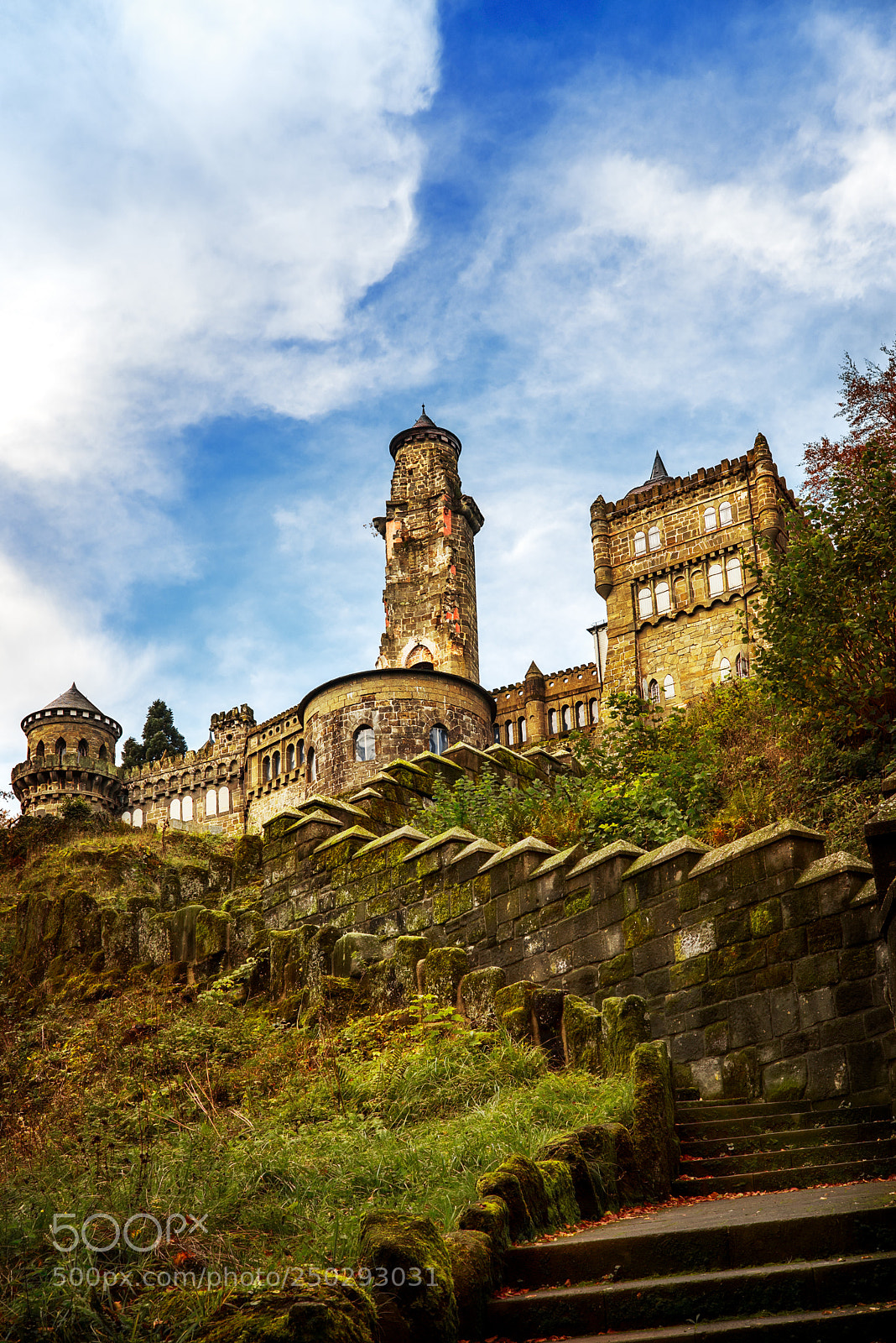 Nikon D810 sample photo. Lowenburg castle photography