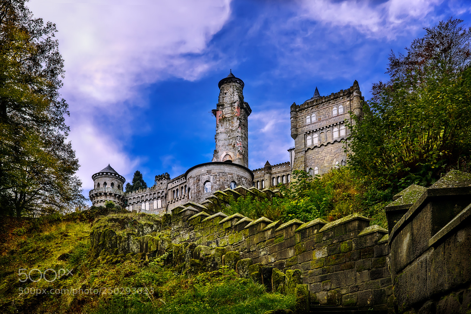 Nikon D810 sample photo. Lowenburg kassel photography