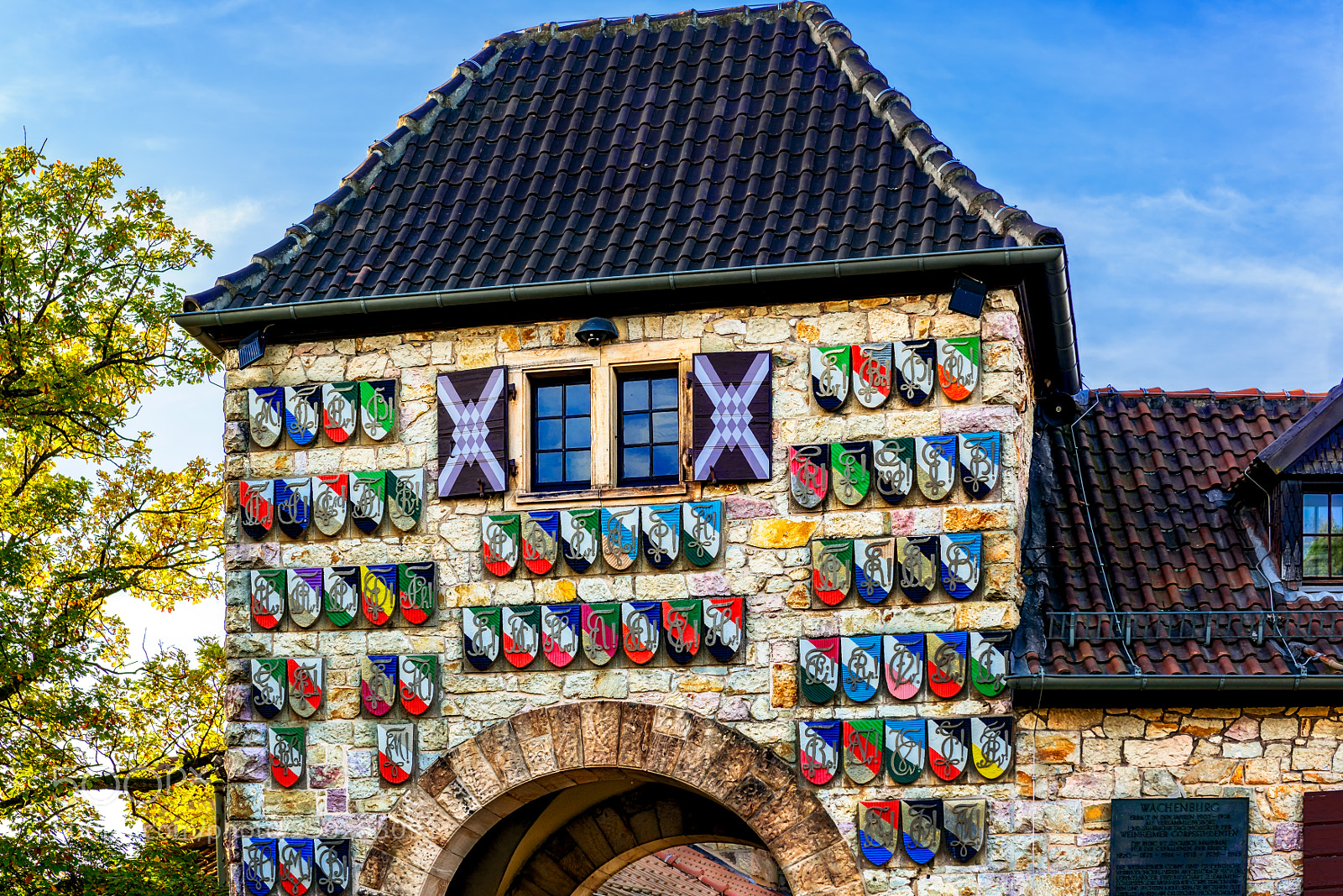 Nikon D810 sample photo. Wachenburg castle photography