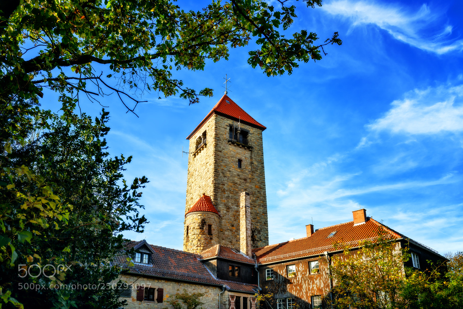 Nikon D810 sample photo. Wachenburg castle photography
