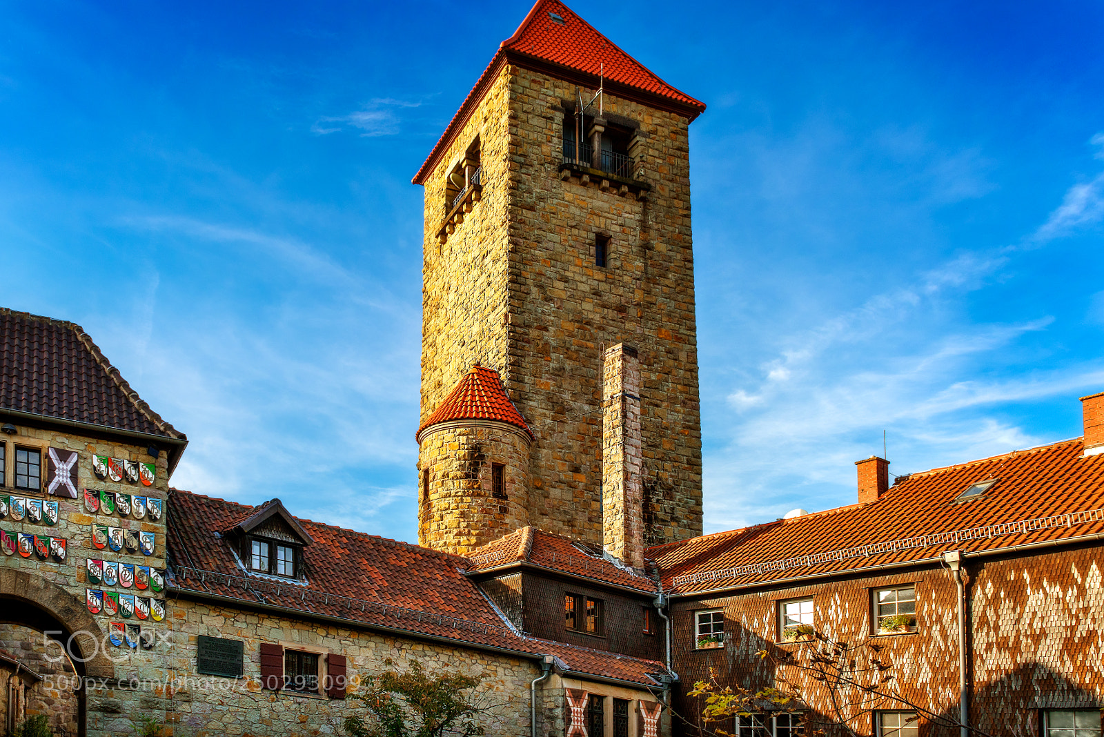 Nikon D810 sample photo. Wachenburg castle photography