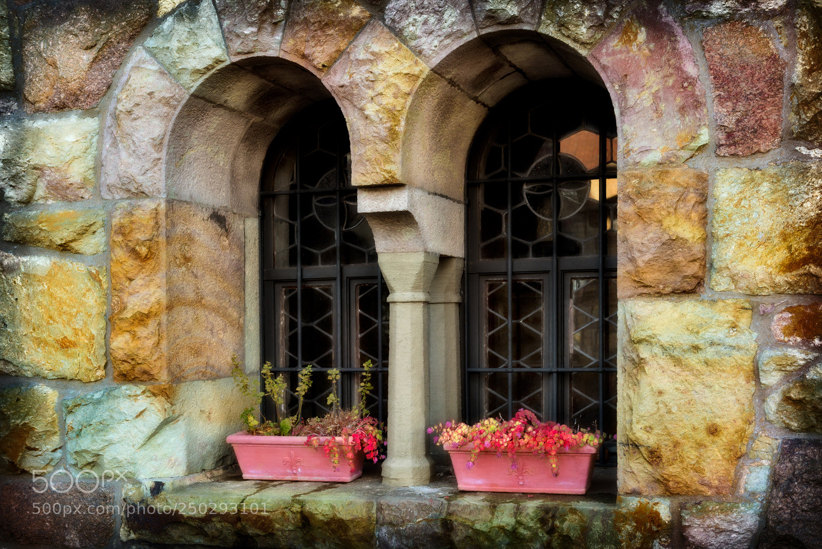 Nikon D810 sample photo. Wachenburg castle photography