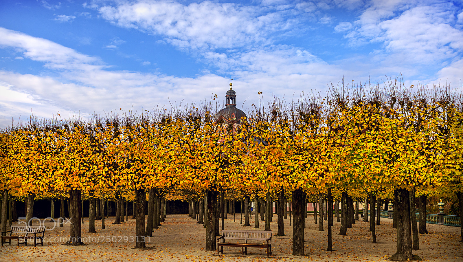 Nikon D810 sample photo. Weilburg photography