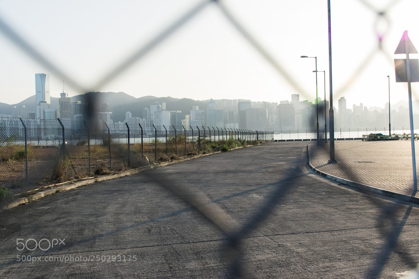 Nikon D5600 sample photo. View behind the fence photography