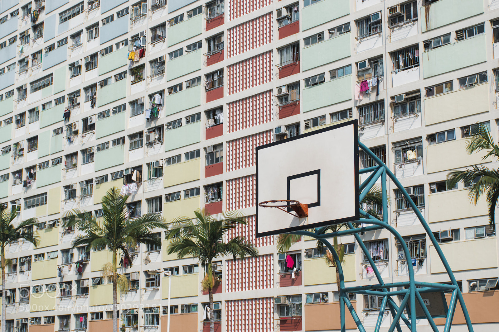 Nikon D5600 sample photo. Rainbow basketball rack photography