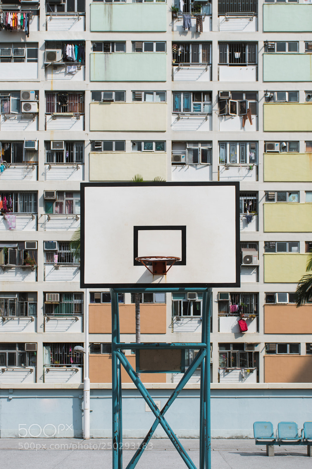 Nikon D5600 sample photo. Rainbow basketball rack photography