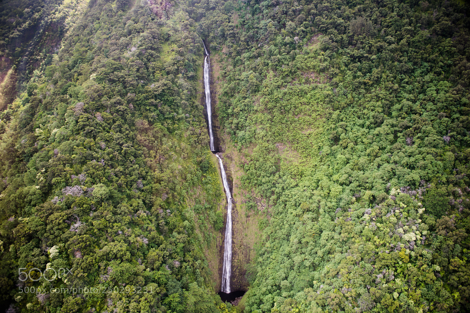 Nikon D810 sample photo. Mountainside waterfall photography