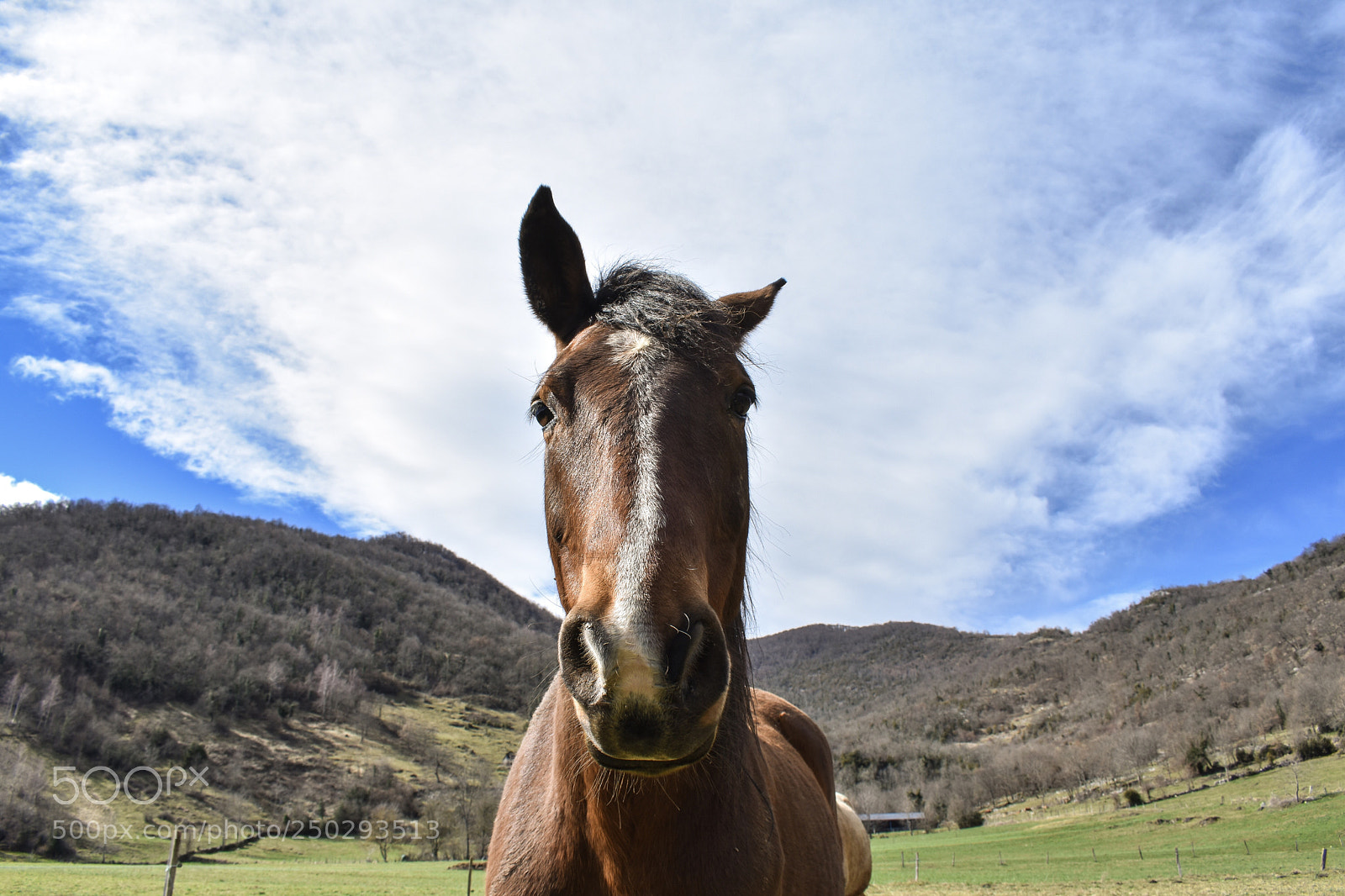 Nikon D3400 sample photo. Untitled photography