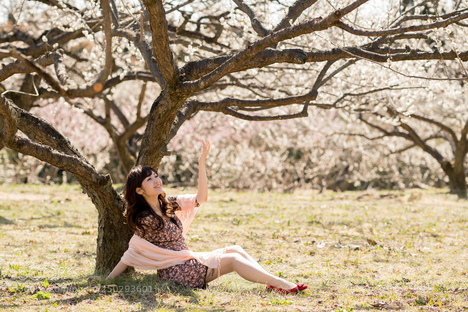 Sony a7R III sample photo. 20180322-1 photography