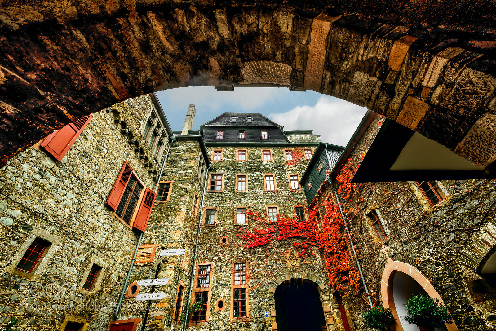 Nikon D810 sample photo. Braunfels castle photography
