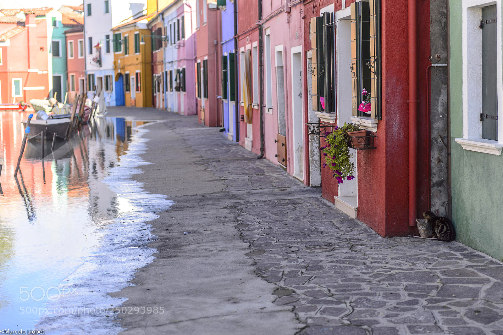 Nikon D4 sample photo. Burano-29 photography