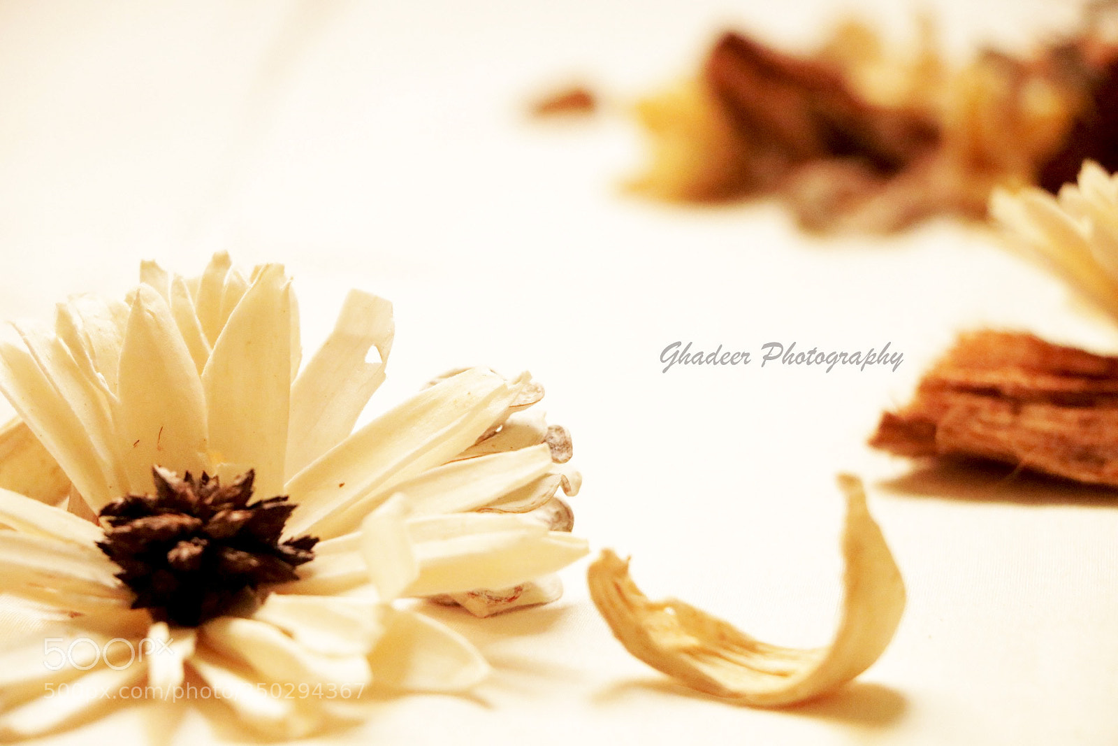 Canon EOS 70D sample photo. Img+rose+ photography