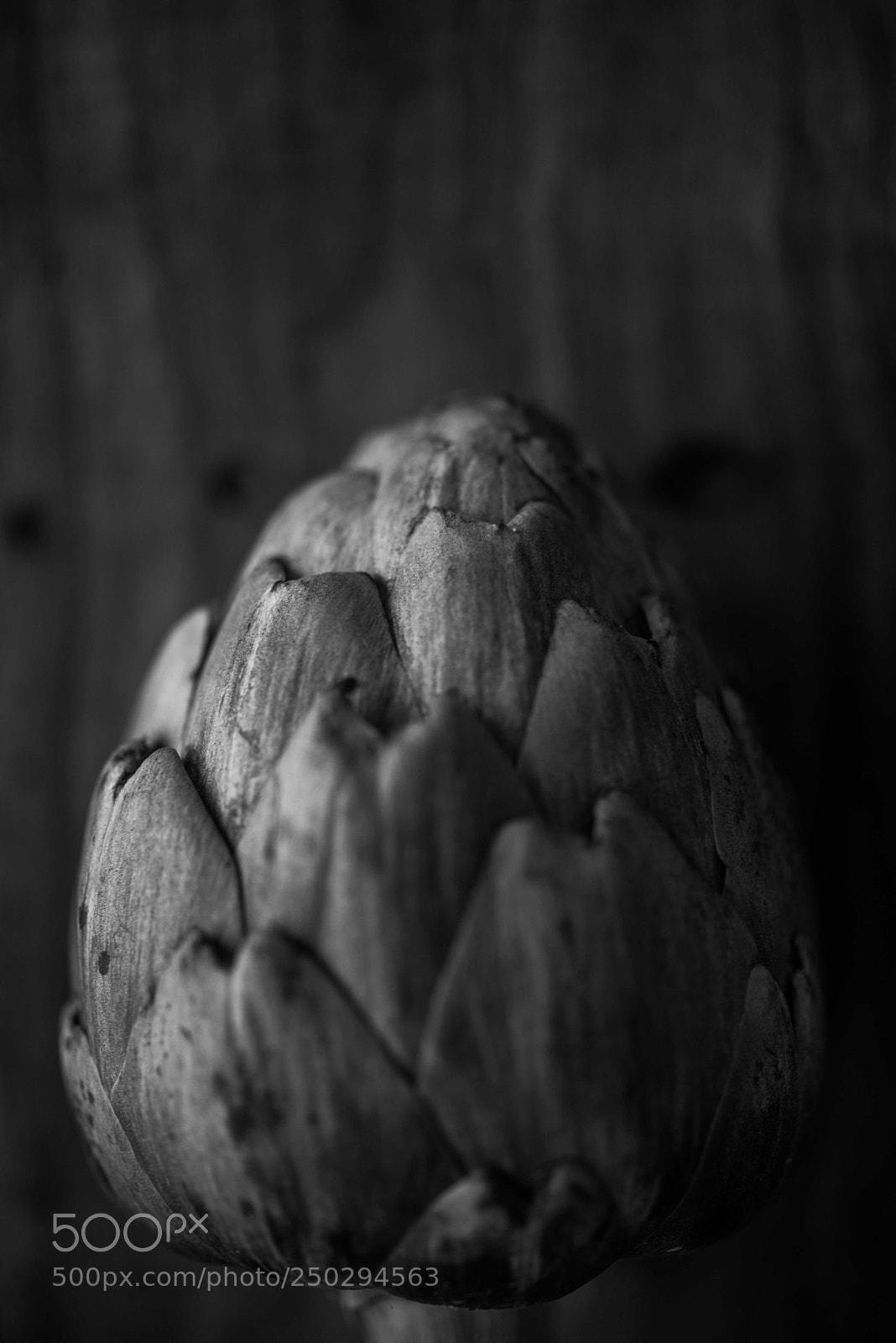 Nikon D800 sample photo. Alcachofa photography