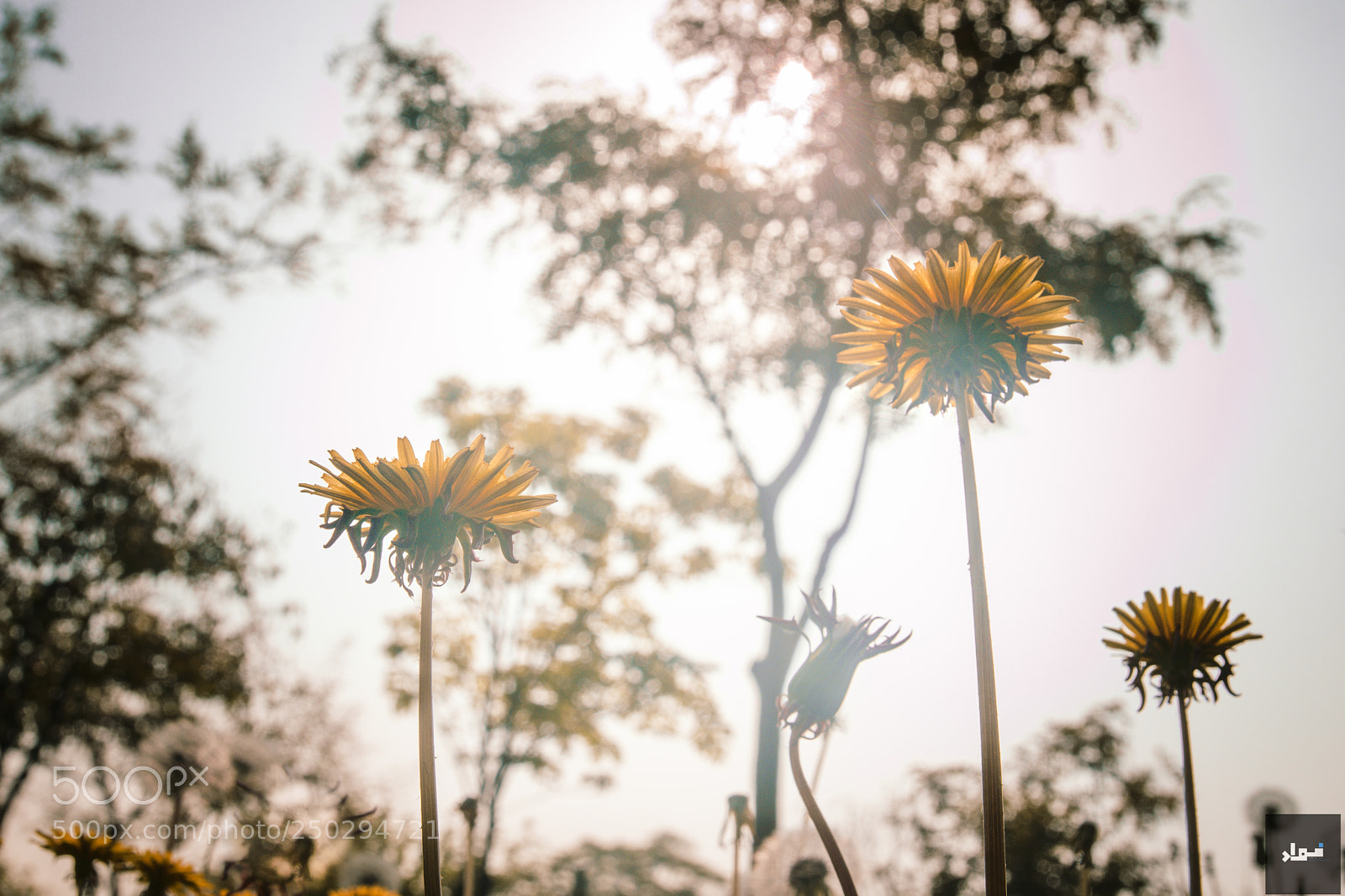 Nikon D5300 sample photo. I know time would photography