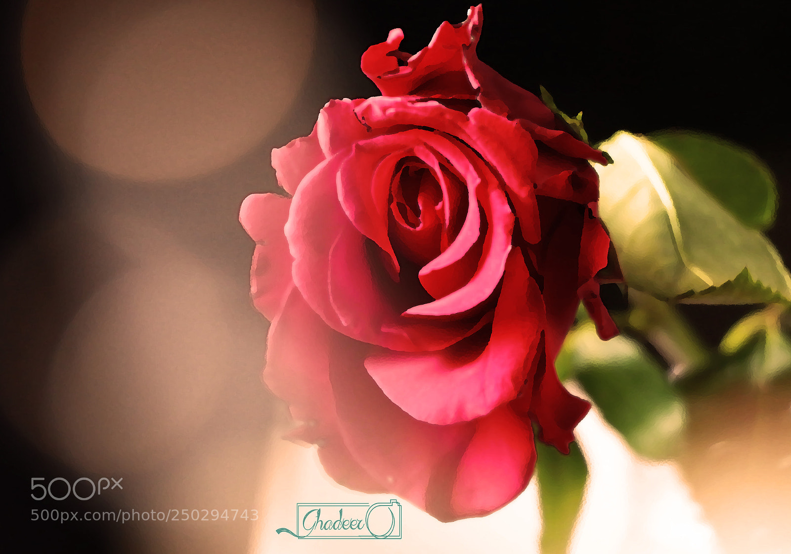 Canon EOS 70D sample photo. Copy photography