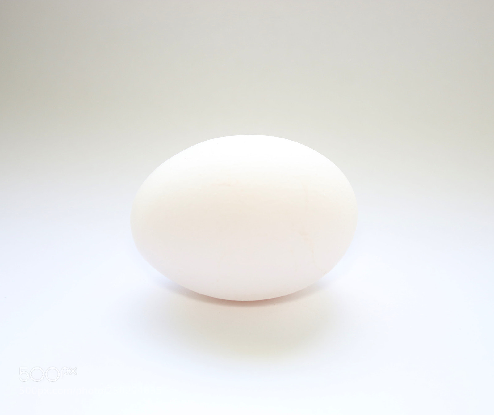 Canon EOS 70D sample photo. White on white photography